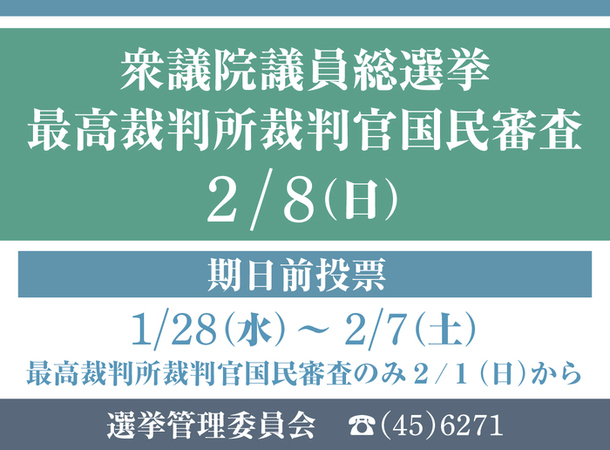 衆議院選挙の画像