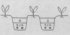 イラスト：畑での使用方法