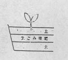 イラスト：プランターでの使用方法