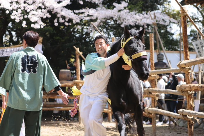 半月七社神社おまんと祭り