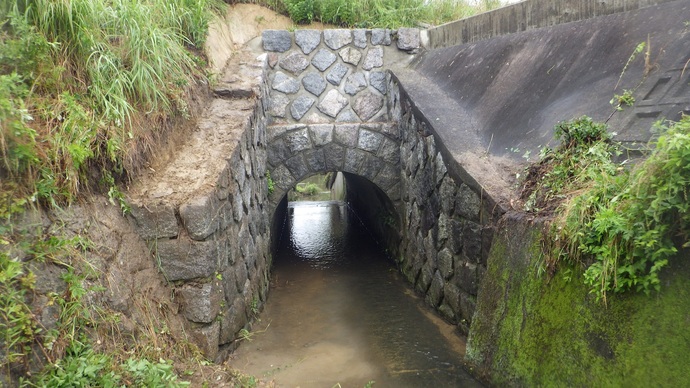 明神川逆水樋門　西側(上流側)