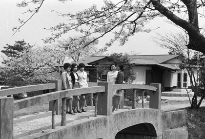 桃山公園の桜（桃山町） 