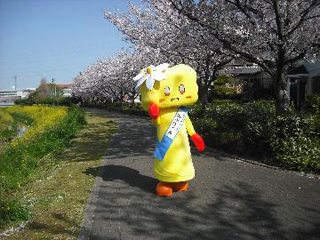 健康の道 春