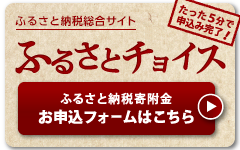 ふるさとチョイス（外部サイト）申込みフォーム（外部リンク・新しいウインドウで開きます）