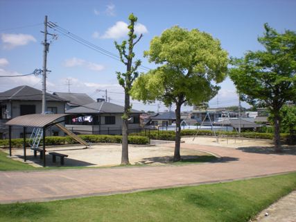 写真：若草公園