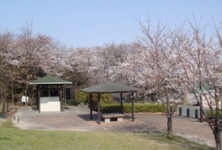 二ツ池公園（デイキャンプ場）