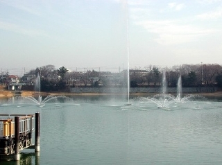 二ツ池公園（噴水）