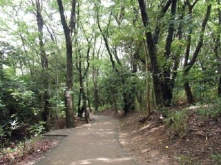 二ツ池公園（散策の森）