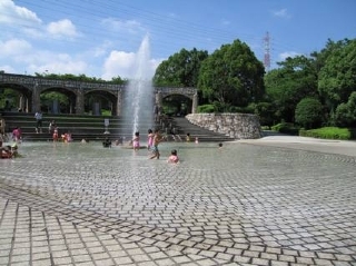 大府みどり公園（中央広場/じゃぶじゃぶ池）