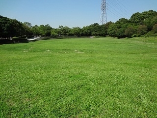 大府みどり公園（芝生広場）