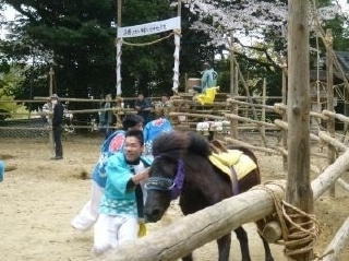 写真2：七社神社の祭り