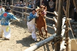 半月七社神社おまんと祭りの様子