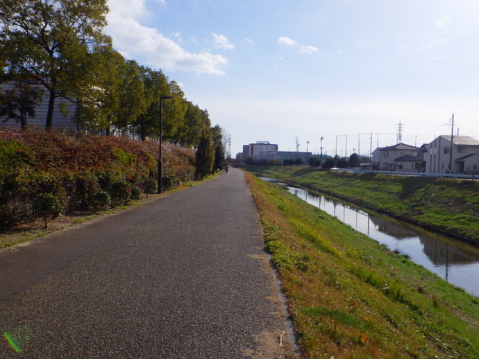 鞍流瀬川緑道の写真