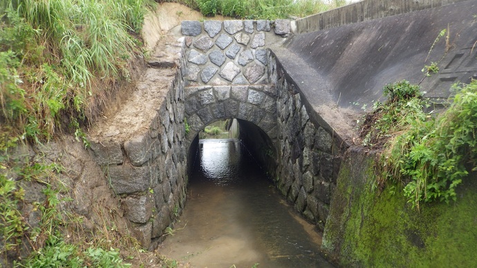 明神川逆水樋門西側（上流側）の写真