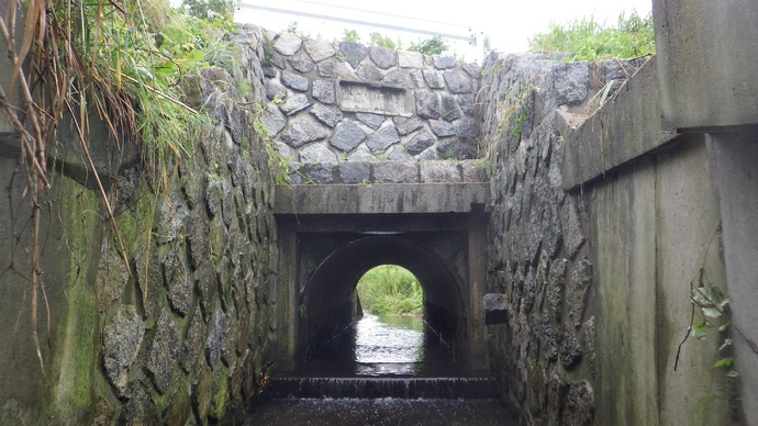 明神川逆水樋門東側（下流側）の写真