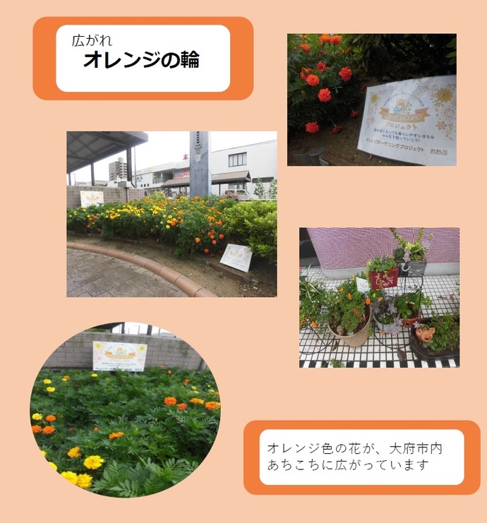 まちに植えられているオレンジの花