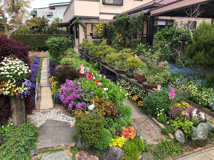 マスター（家庭緑花）の部／三木仲夫・キヌ子さんのガーデン　（吉川町）