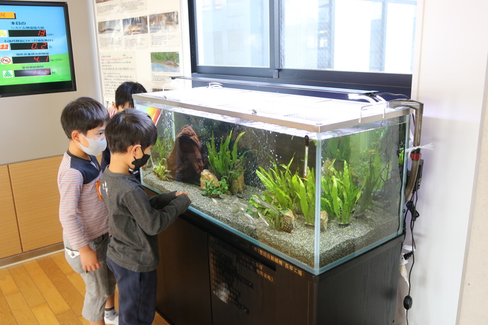 生き物たちが入った水槽を観察する子どもたち