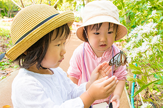 （11）アサギマダラに興味津々な子ども