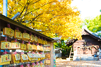 （25）八ツ屋神明社と紅葉