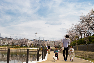 （41）川池公園でウォーキング