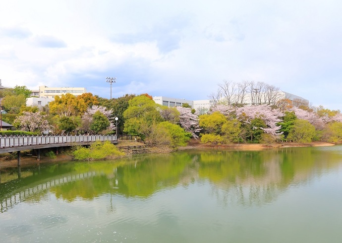 池に映った風景(4月撮影)