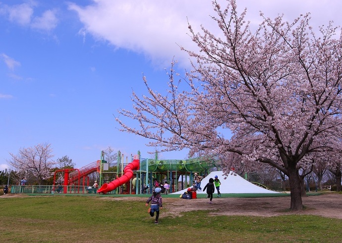 はしゃぎ駆ける子どもたち(4月撮影)