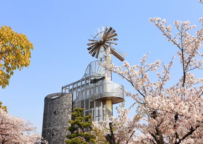 風車と桜(4月撮影)