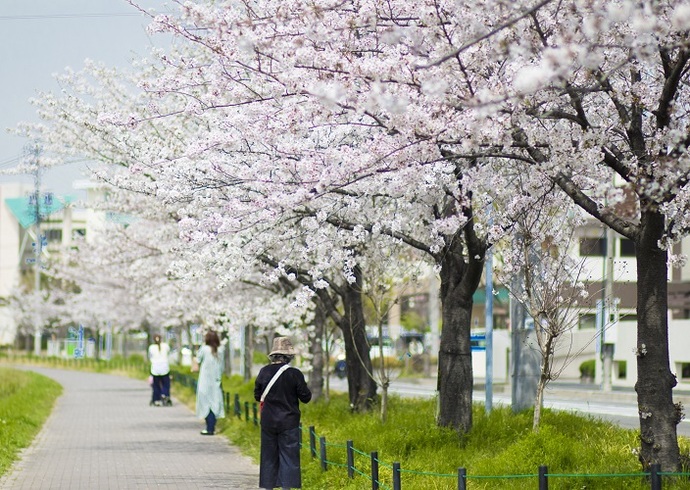 緑道での散歩(3月撮影)