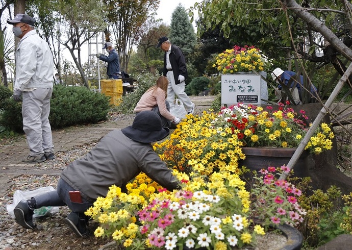 庭園みなみの花(11月撮影)