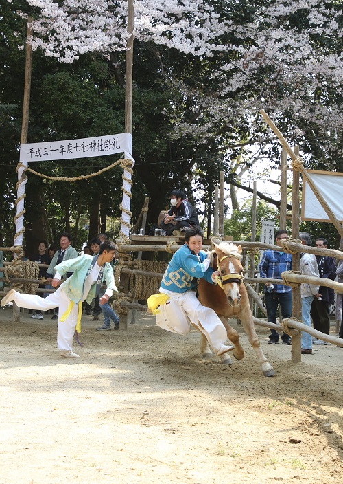 おまんと祭り(4月撮影)