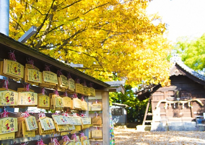 金メダルの神社(※建替え中)(11月撮影)