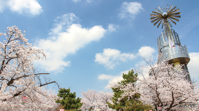 桃山公園の見本