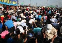 大海老祭り