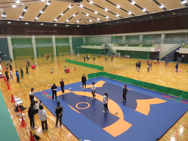 前回のフェスタの様子