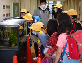 石ヶ瀬小学校での観察の様子2