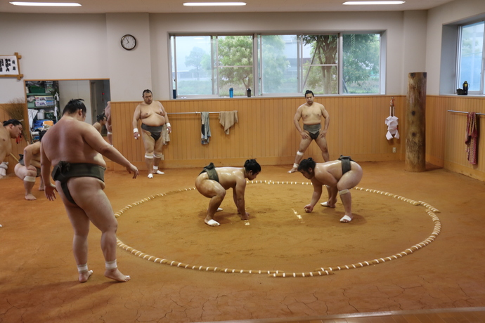 稽古に励む芝田山部屋の力士ら