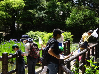 春のいきもの観察会のイメージ