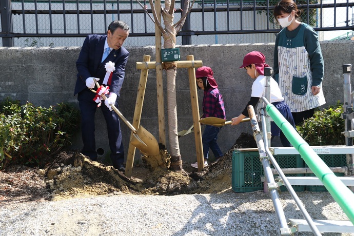 土掛けを行う岡村市長