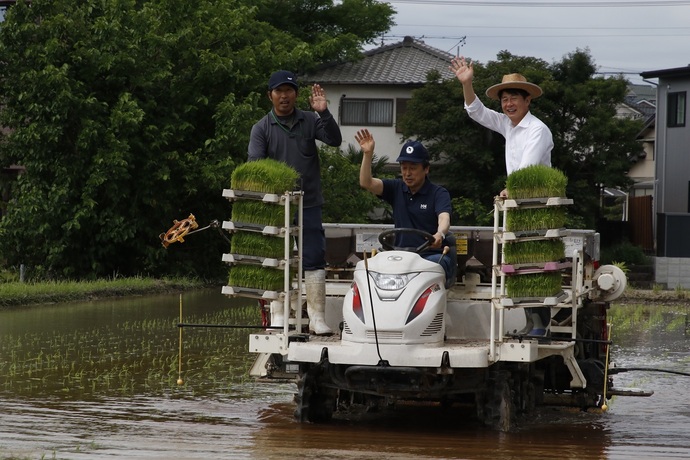 有機栽培で作られた米の田植えの様子