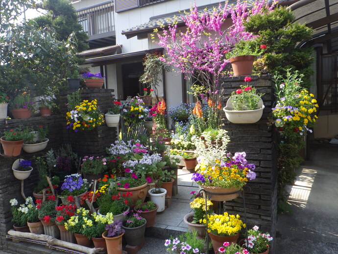 一般（家庭緑花）の部／佐藤頼子さんのガーデン（吉田町）