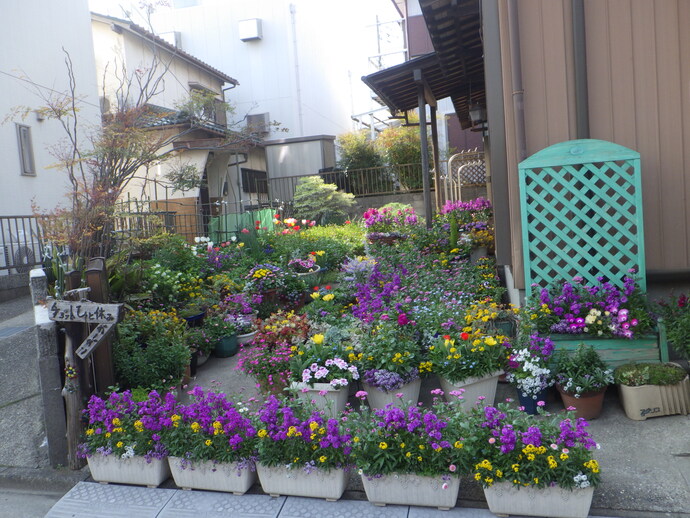 マスター（家庭緑花）の部／中村多賀子さんのガーデン（吉川町）