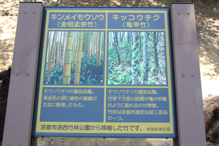 案内看板
