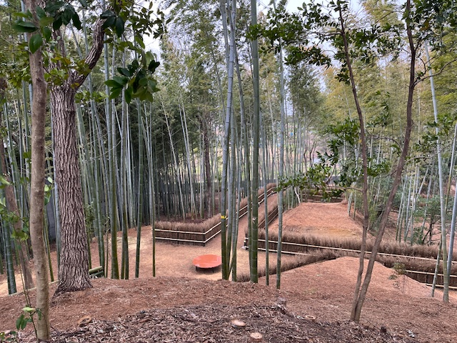 竹林の小径　縁台