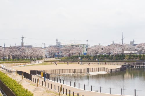 写真：川池公園