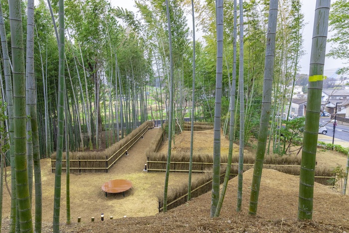 矢戸川竹林の小径の様子