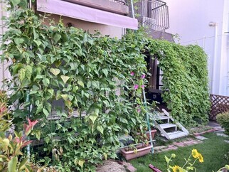 写真（1）