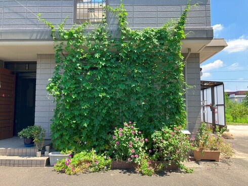 写真（1）
