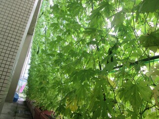 写真（2）