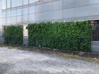 写真（1）